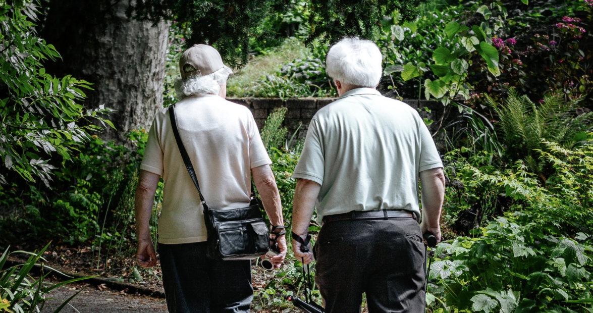 Balance board store for seniors